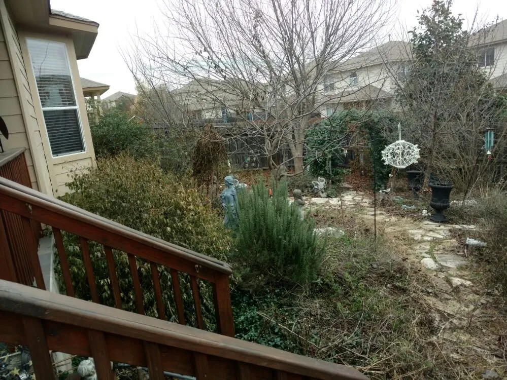 Professional lawn care service in San Antonio, TX - Noble Landscape Services