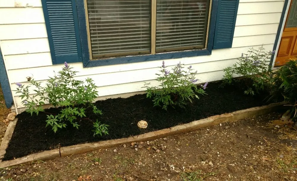 Affordable yard cleanup service for outdoor upgrades in San Antonio, TX by Noble Landscape Services