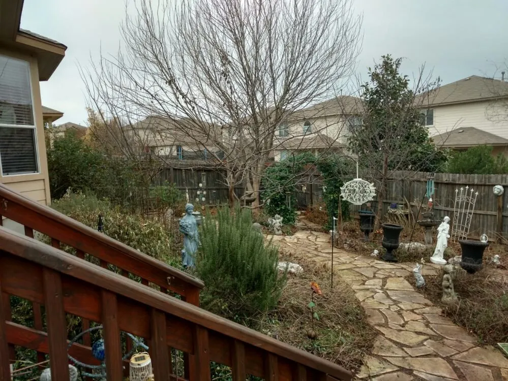 Professional lawn care service in San Antonio, TX - Noble Landscape Services