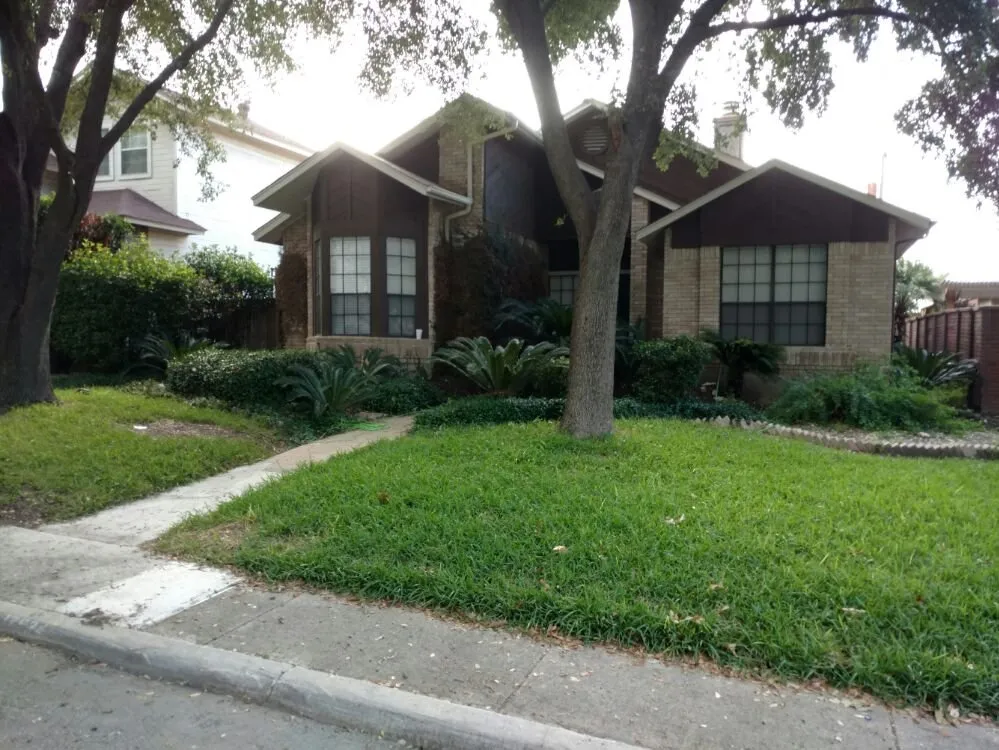 Affordable yard cleanup service experts serving San Antonio, TX - Noble Landscape Services