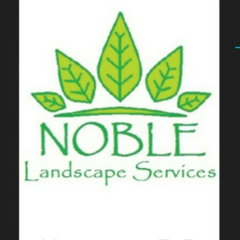 Affordable yard maintenance near you across San Antonio, TX - Noble Landscape Services