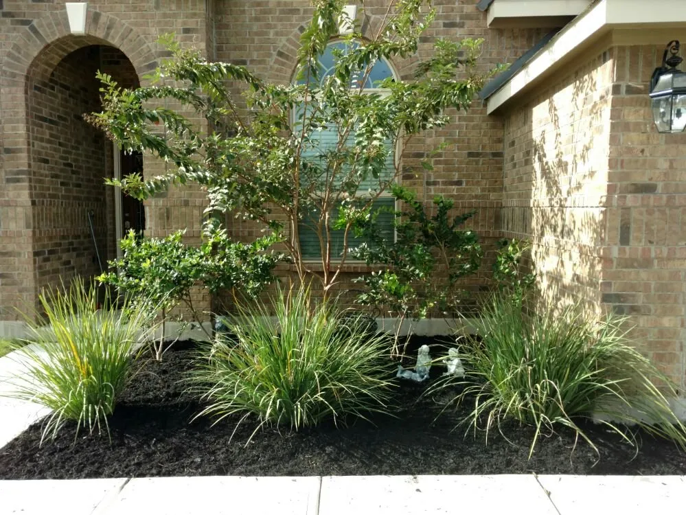 Affordable yard cleanup service in San Antonio, TX - Noble Landscape Services