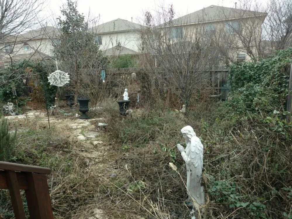 Expert lawn mowing service in San Antonio, TX - Noble Landscape Services