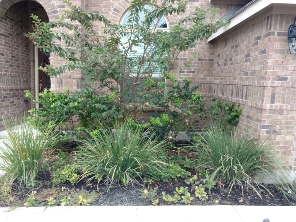 Affordable yard maintenance for homes across San Antonio, TX - Noble Landscape Services