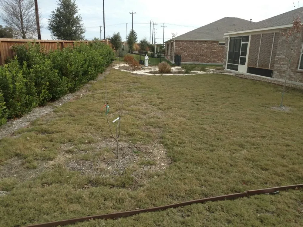 Trusted lawn care service for outdoor upgrades across San Antonio, TX - Noble Landscape Services