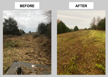 Reliable landscaping services for year-round maintenance across Cynthiana, KY - Noble Landworks