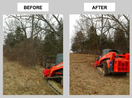 Expert residential landscaping experts serving Cynthiana, KY - Noble Landworks