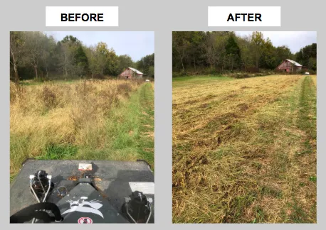 Reliable lawn mowing service for beautiful yards in Cynthiana, KY by Noble Landworks