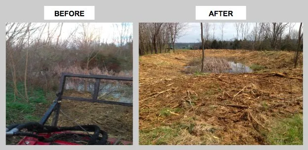 Professional residential landscaping in Cynthiana, KY by Noble Landworks