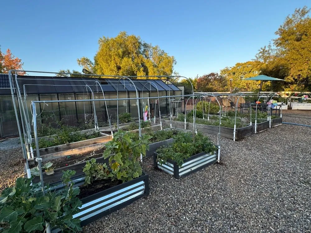 Local landscape design with custom design across El Cajon, CA - Noble Nature - Premium Landscaping & Hardscaping