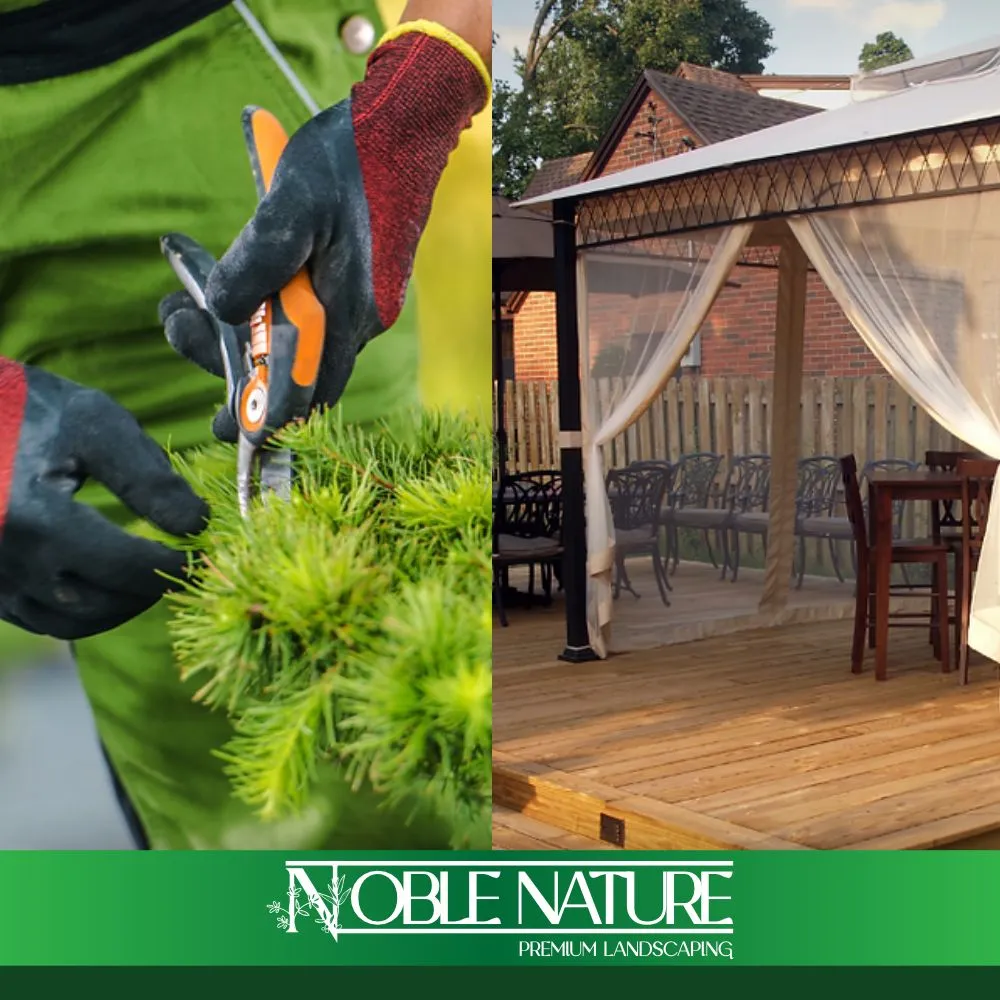 Top-rated yard cleanup service in El Cajon, CA - Noble Nature - Premium Landscaping & Hardscaping