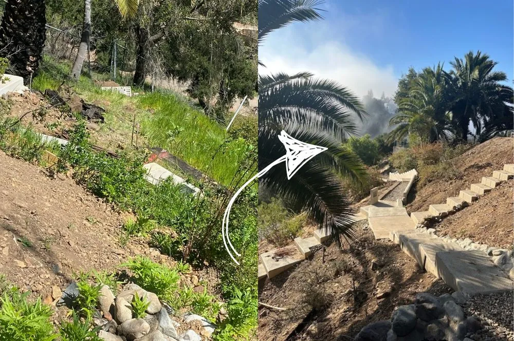 Local landscape design for beautiful yards across Los Angeles, CA - Noble Nest Construction