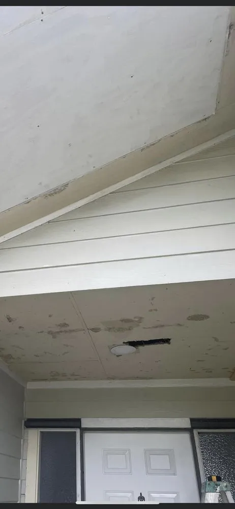 Professional outdoor landscaping in Jupiter, FL by Noble Property Management