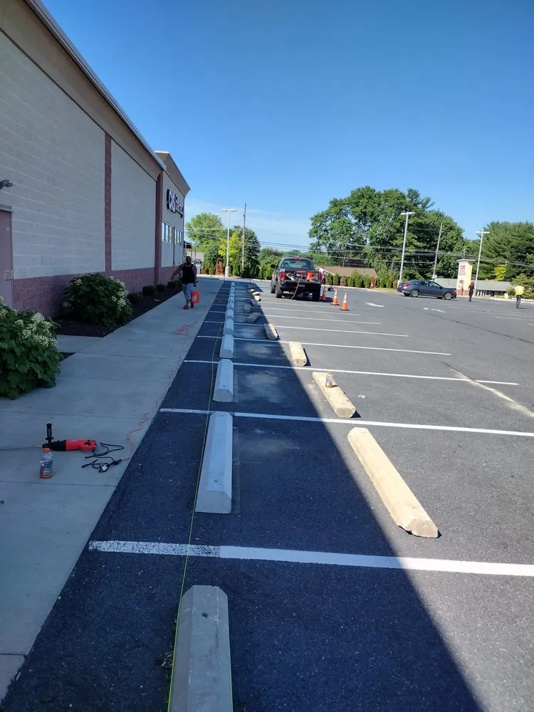 Professional yard cleanup service experts serving Covington, VA - Noble Property Renewal