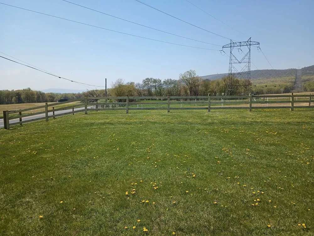 Reliable landscaping services in Covington, VA - Noble Property Renewal