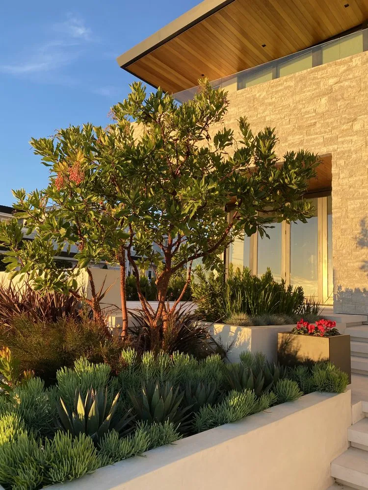 Reliable outdoor landscaping experts serving Newport Beach, CA - Noble Saint