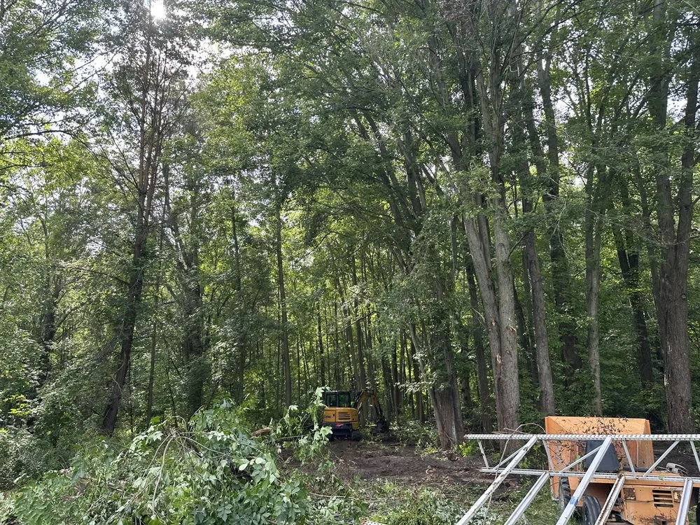 Trusted lawn mowing service for residential properties across Marysville, MI - Noble Services