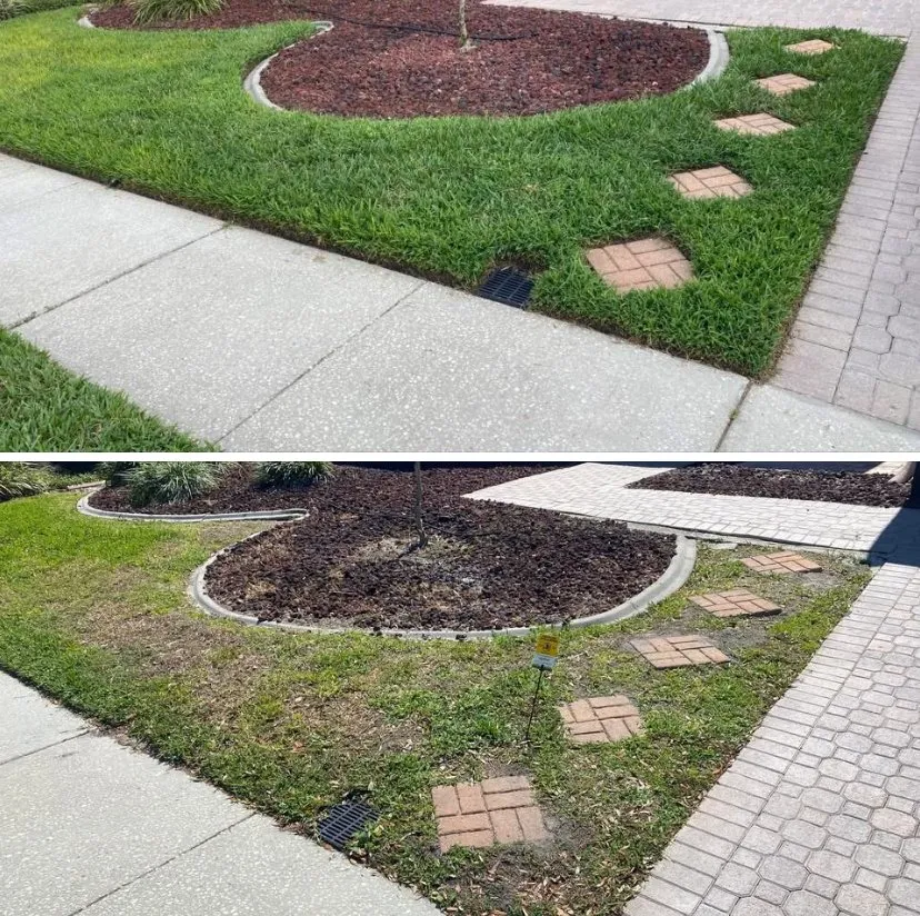 Local landscape design in Orlando, FL by Noble Services Of Central Florida