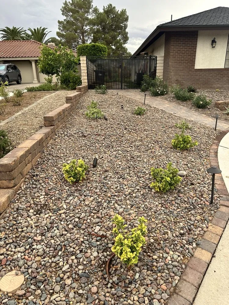 Custom yard cleanup service for outdoor upgrades across Las Vegas, NV - Noble Tree Service