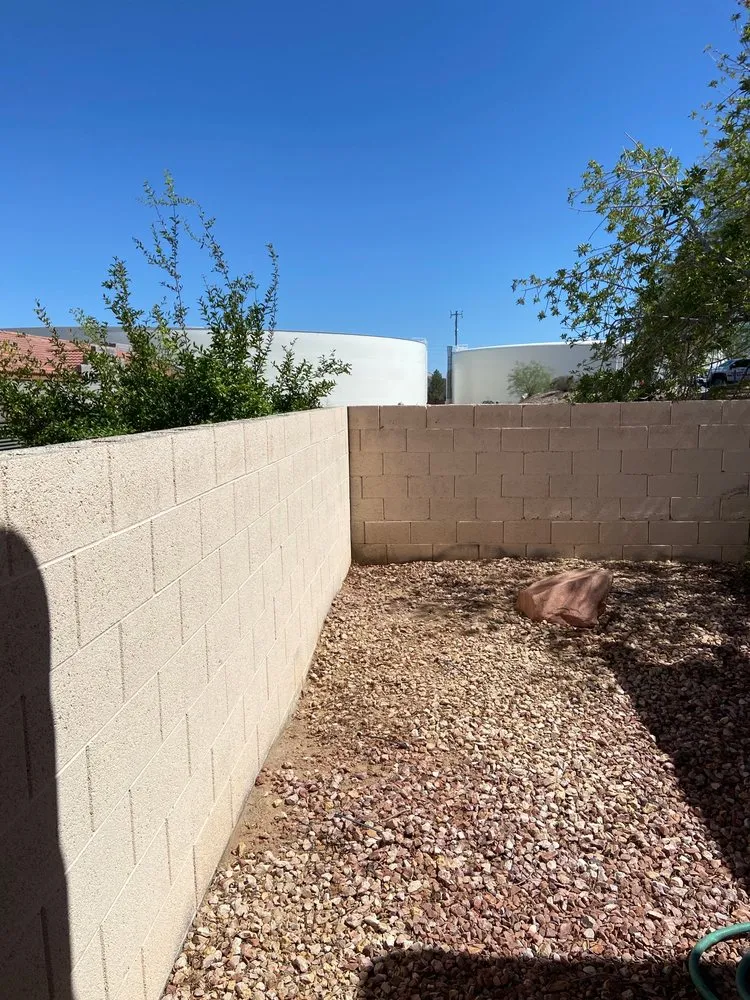 Reliable lawn care service in Las Vegas, NV - Noble Tree Service