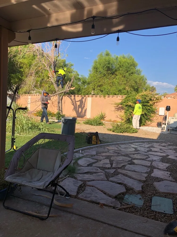 Custom yard cleanup service near you in Las Vegas, NV by Noble Tree Service