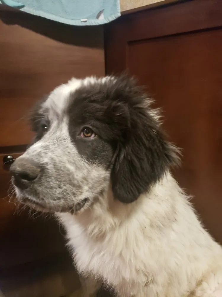 Local garden landscaping in Cheyenne, WY by Noble Works