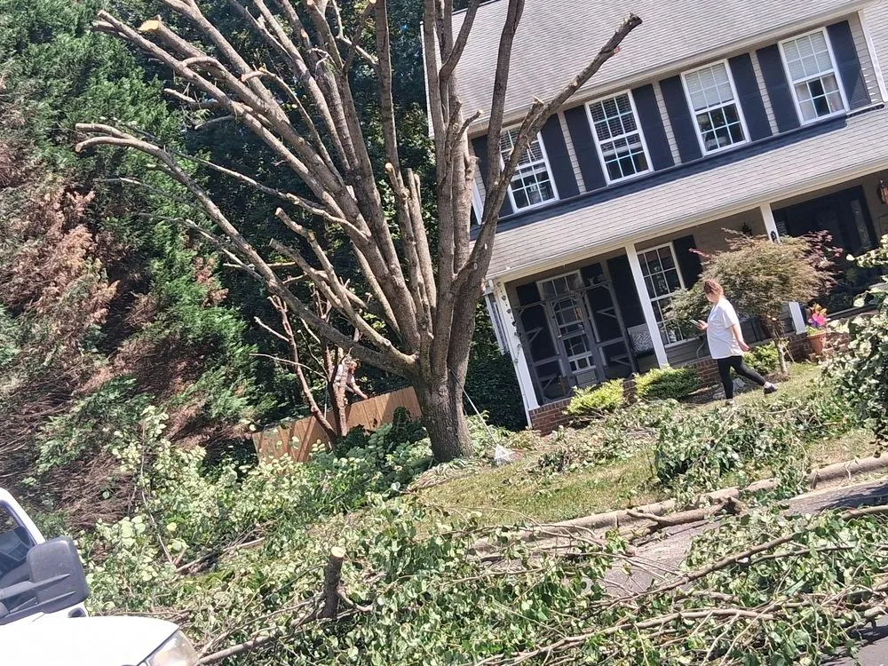 Trusted lawn mowing service for beautiful yards across Thomasville, NC - Nobles & Sons & Lawn Care & Tree Service