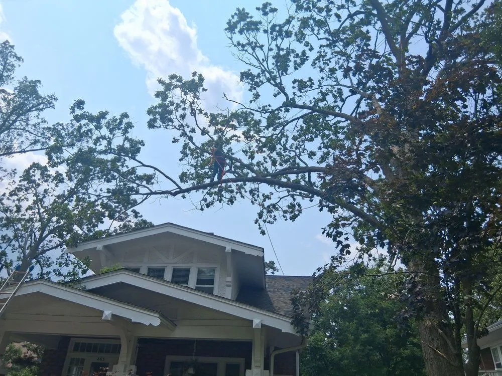 Professional residential landscaping for beautiful yards in Thomasville, NC by Nobles & Sons & Lawn Care & Tree Service