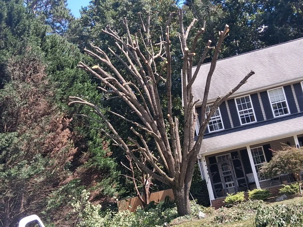 Local lawn mowing service experts serving Thomasville, NC - Nobles & Sons & Lawn Care & Tree Service