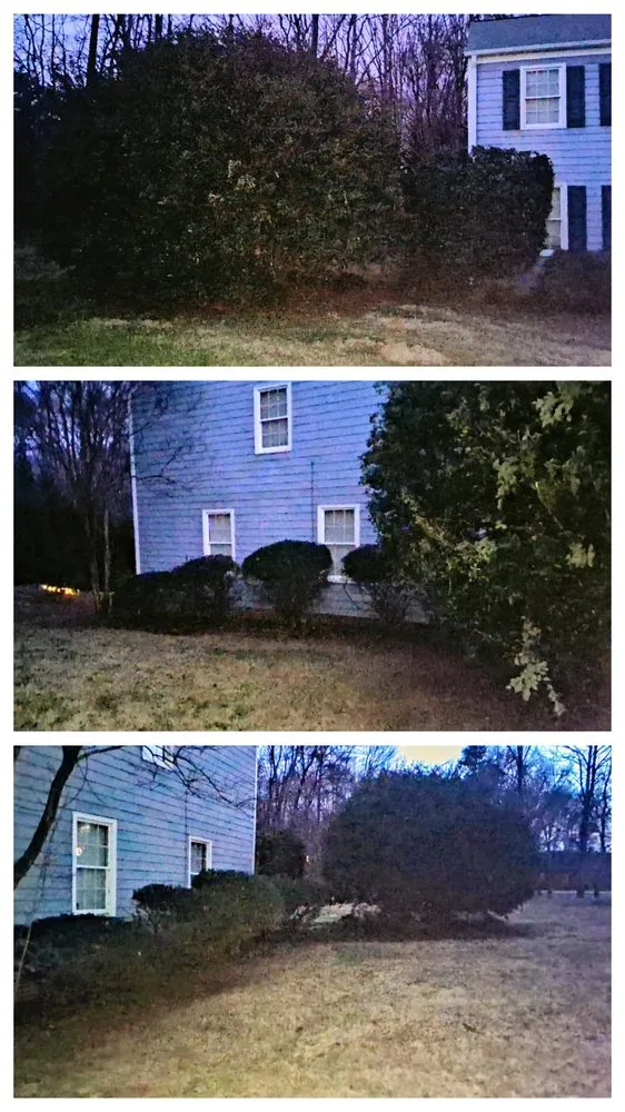 Reliable lawn mowing service in Thomasville, NC - Nobles & Sons & Lawn Care & Tree Service