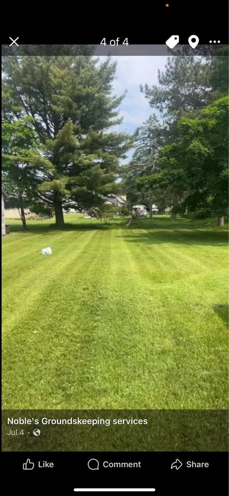 Professional yard cleanup service in Manistique, MI by Nobles Groundskeeping Services
