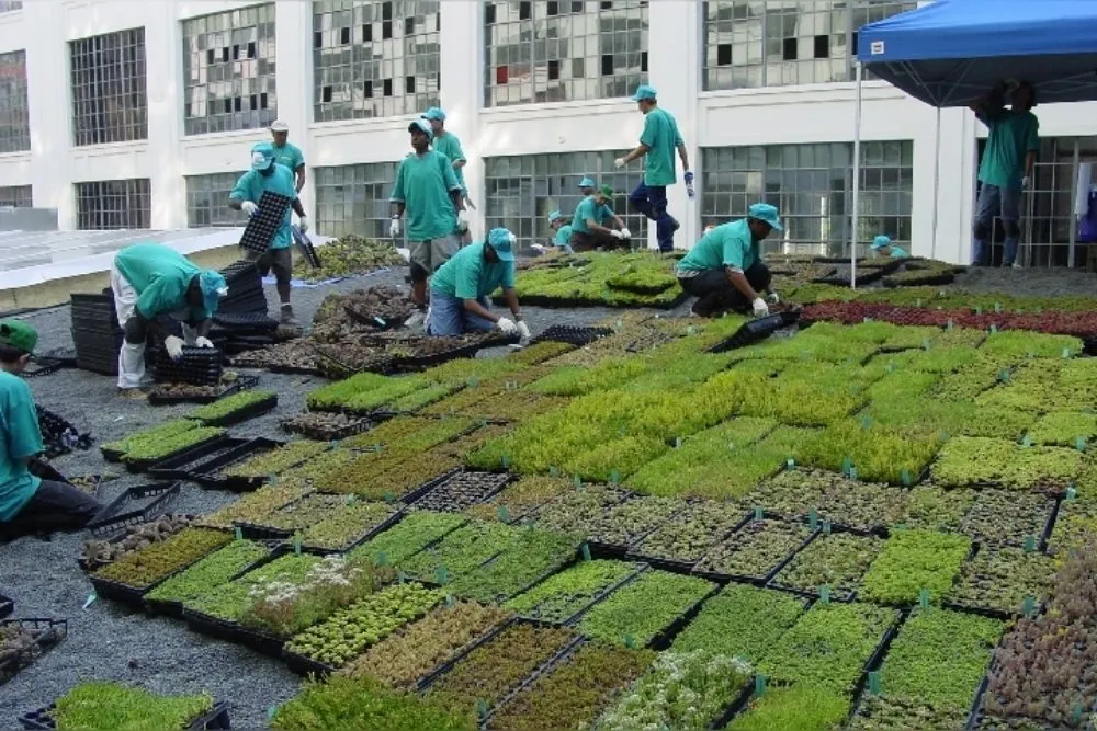 Reliable landscape installation for homes across Baltimore, MD - Nobles Landscape Service