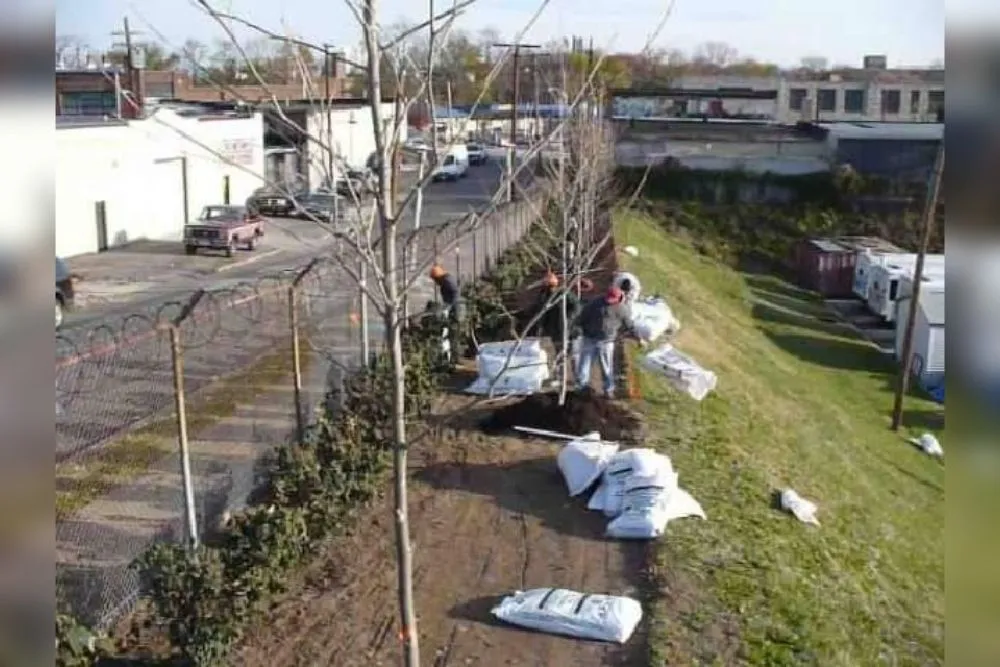 Affordable residential landscaping for beautiful yards across Baltimore, MD - Nobles Landscape Service