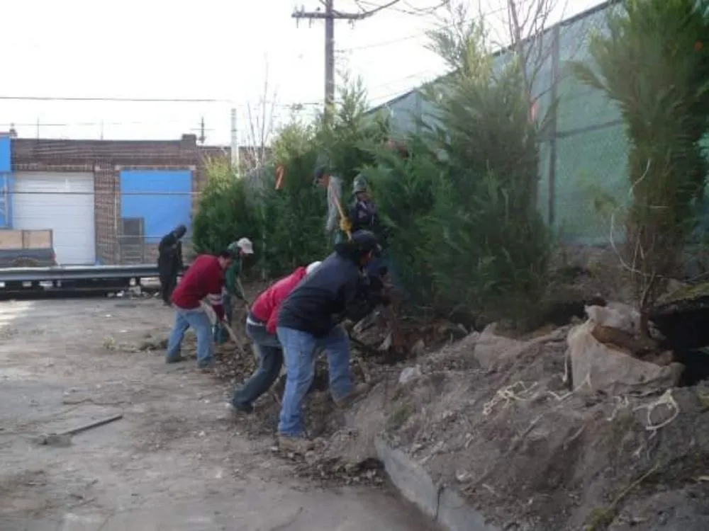 Top-rated landscape installation in Baltimore, MD by Nobles Landscape Service