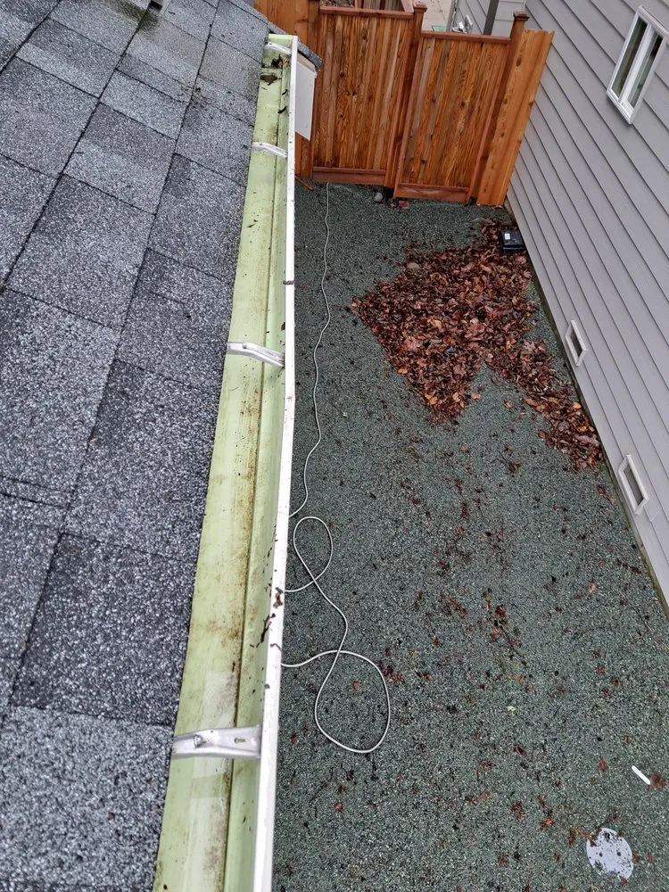 Expert landscaping services for year-round maintenance in Sultan, WA by Nobo Landscaping