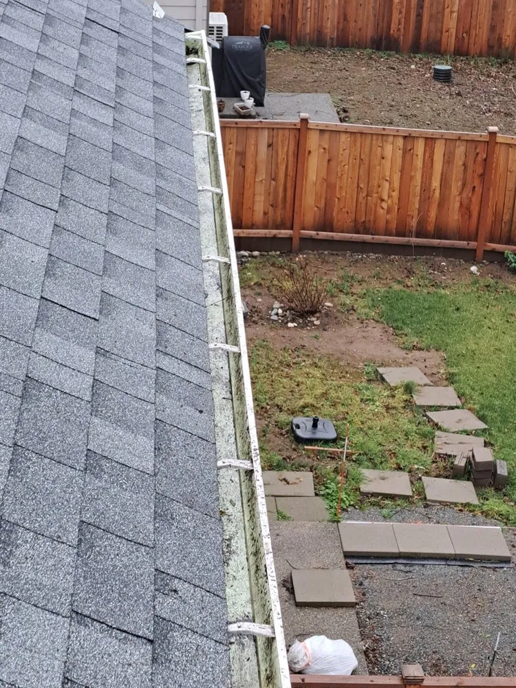 Top-rated yard cleanup service in Sultan, WA by Nobo Landscaping