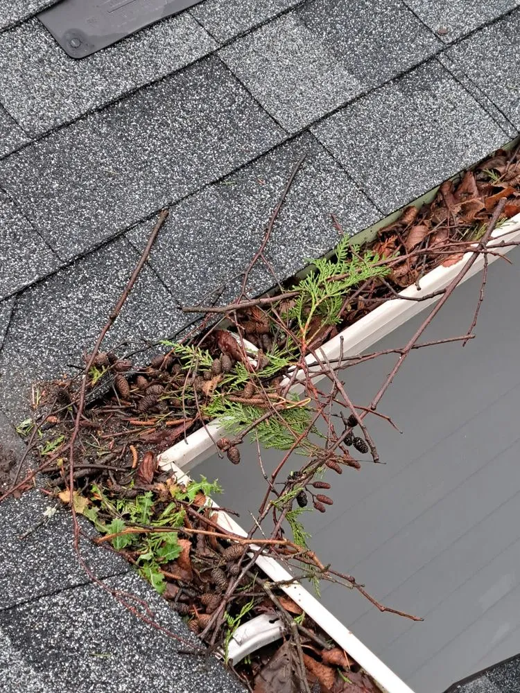 Top-rated landscape design for outdoor upgrades in Sultan, WA by Nobo Landscaping