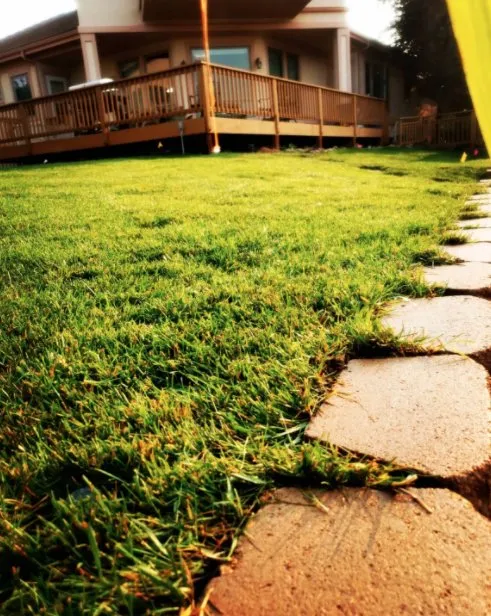 Top-rated residential landscaping for year-round maintenance in Windsor, CO by NoCo Landscapes and Irrigation