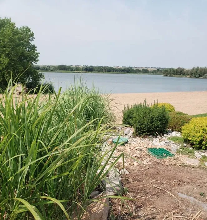 Affordable yard cleanup service near you across Windsor, CO - NoCo Landscapes and Irrigation