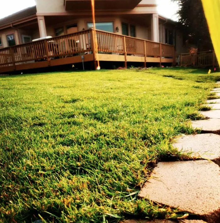 Local garden landscaping in Windsor, CO - NoCo Landscapes and Irrigation