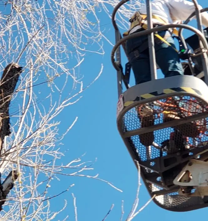 Trusted landscape installation for beautiful yards across Windsor, CO - NoCo Landscapes and Irrigation