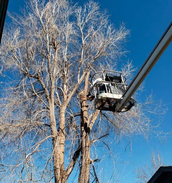 Local lawn mowing service experts serving Windsor, CO - NoCo Landscapes and Irrigation