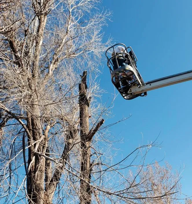 Reliable yard maintenance for residential properties across Windsor, CO - NoCo Landscapes and Irrigation