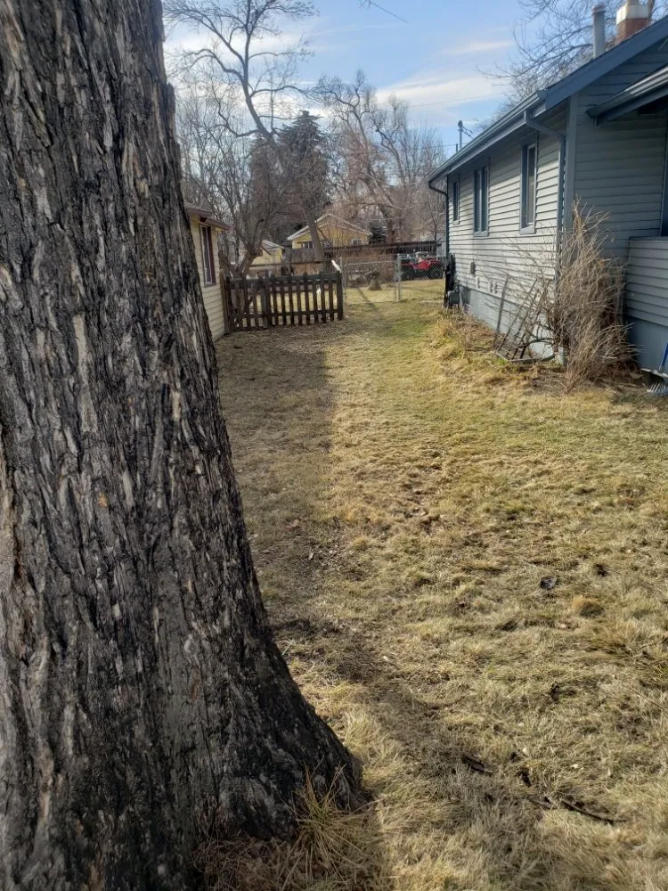 Trusted landscaping services for beautiful yards across Windsor, CO - NoCo Landscapes and Irrigation