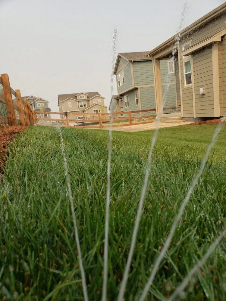 Local landscaping services experts serving Windsor, CO - NoCo Landscapes and Irrigation