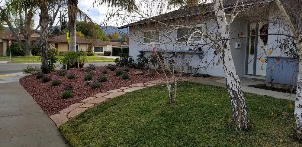 Affordable yard maintenance in Oxnard, CA by Noe Madrigal Landscape