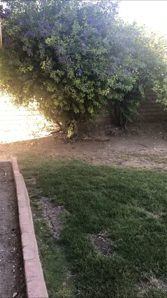 Trusted outdoor landscaping for year-round maintenance across Oxnard, CA - Noe Madrigal Landscape