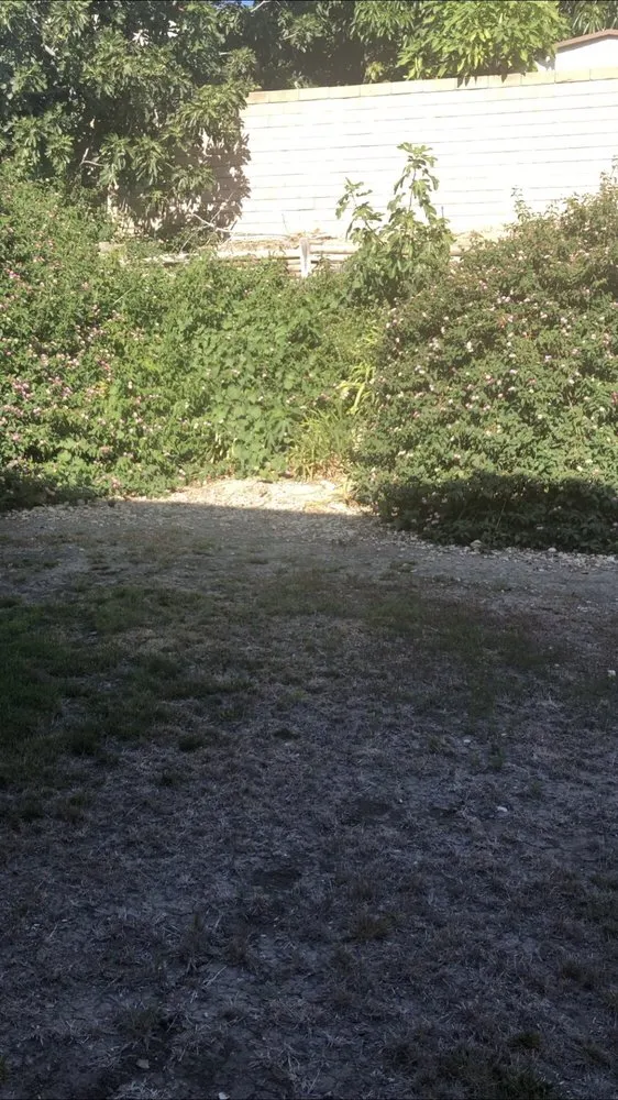 Reliable landscape design in Oxnard, CA - Noe Madrigal Landscape