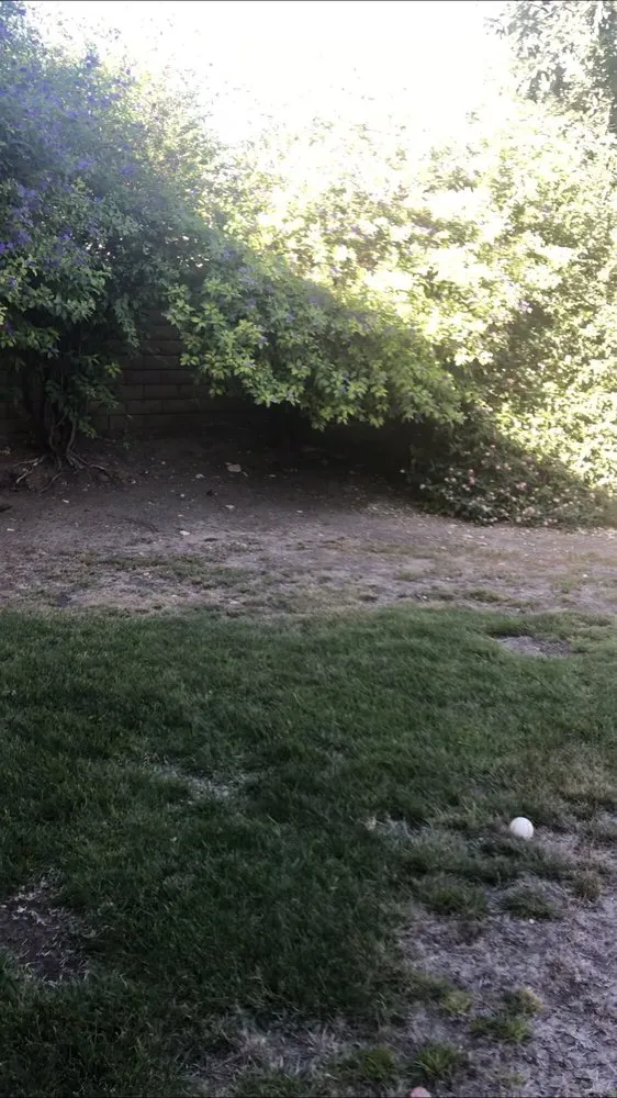 Affordable garden landscaping in Oxnard, CA by Noe Madrigal Landscape