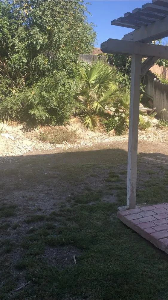 Professional landscaping services in Oxnard, CA by Noe Madrigal Landscape